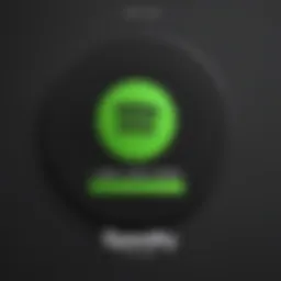 Spotify app displaying offline music feature