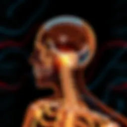 An illustration of bone conduction technology demonstrating sound waves traveling through bones.