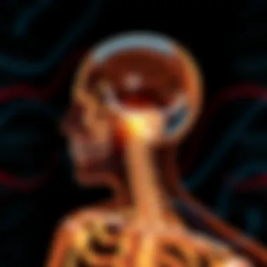 An illustration of bone conduction technology demonstrating sound waves traveling through bones.