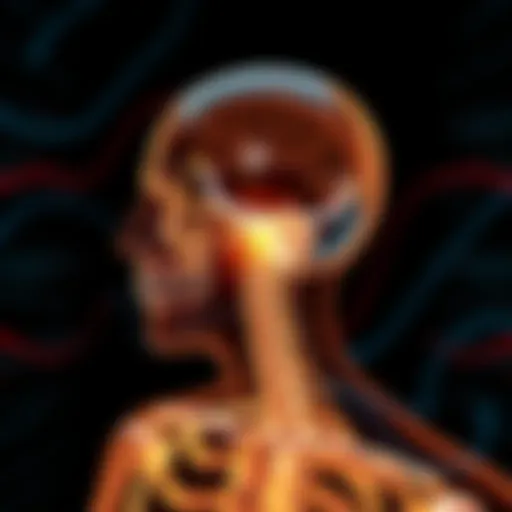 An illustration of bone conduction technology demonstrating sound waves traveling through bones.