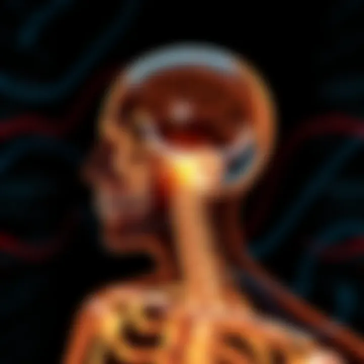 An illustration of bone conduction technology demonstrating sound waves traveling through bones.