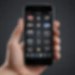 Elegant iPhone icon customization