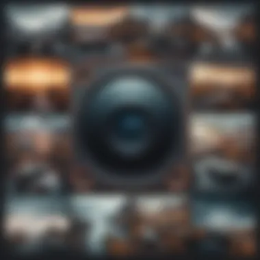 Stunning Photo Collage A visually striking collage of four photos seamlessly blended together