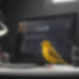 Overview of Google Canary Interface