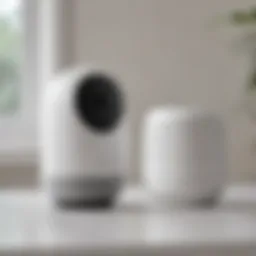 Google Smart Home Security Camera in action