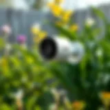 Nest Outdoor Camera in a garden setting