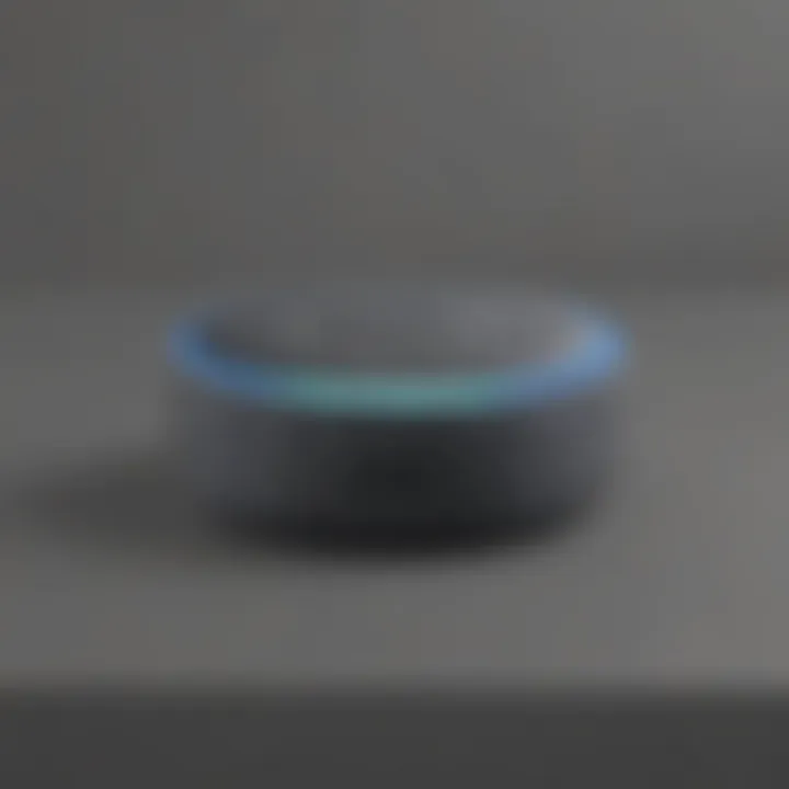 Echo Dot customization options