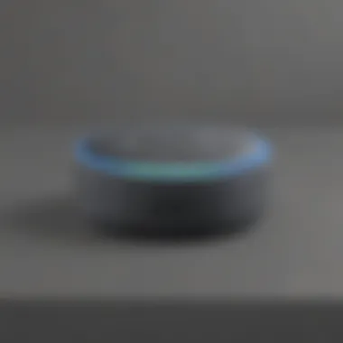 Personalizing Echo Dot Settings Echo Dot customization options