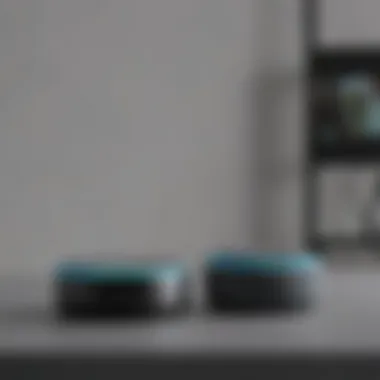 Echo Dot Setup Guide Echo Dot device being set up