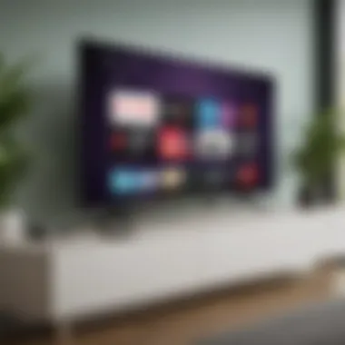 Elegant Roku TV Design