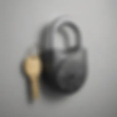 Lock and Key Icon