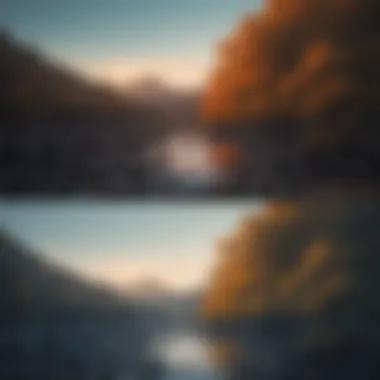 Enhancing Images Through Editing A smartphone editing interface displaying color adjustments on a photo.