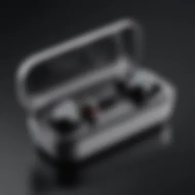 Wireless earbuds with a focus on battery life indicators