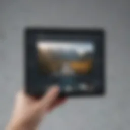 A vibrant interface of an image manipulation application showcasing diverse options for integration.