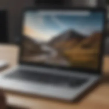 Diverse Applications on Chromebook User interacting with various applications on a Chromebook