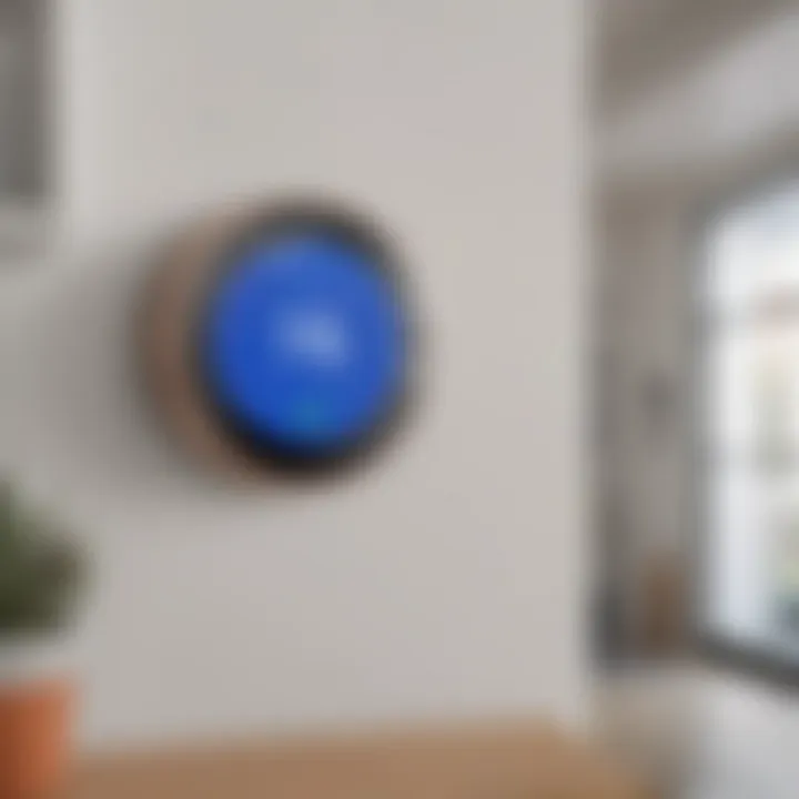 Efficient Energy Management with Google Nest Thermostat