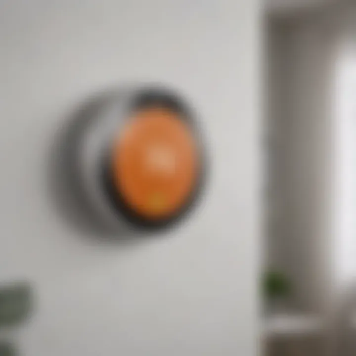 Professional Installation of Google Nest Thermostat