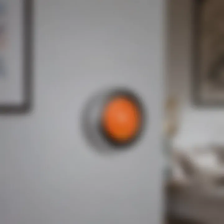 Smart Technology Integration in Google Nest Thermostat