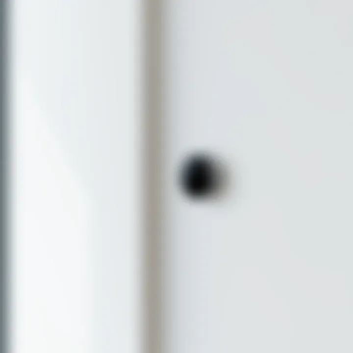 Advantages of using Google Nest wall mount in smart home setup