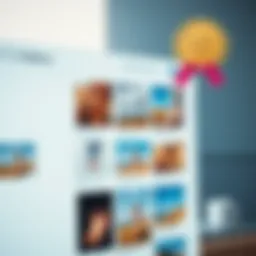 Samsung Gallery interface showcasing organized photo albums
