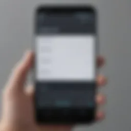 Overview of voice to text app interface