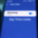 Samsung device settings interface for app time limits