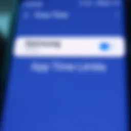 Samsung device settings interface for app time limits