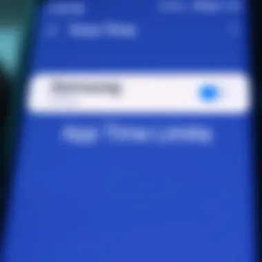 Samsung device settings interface for app time limits