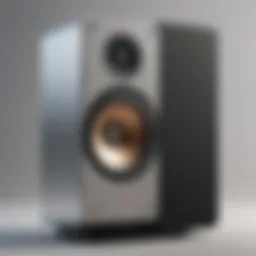 Sleek and Sophisticated Speaker Design