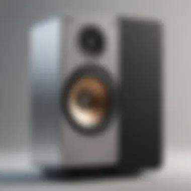 Sleek and Sophisticated Speaker Design Sleek and Sophisticated Speaker Design
