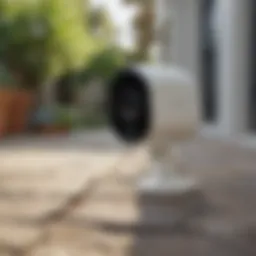 Arlo camera mounted in an outdoor setting