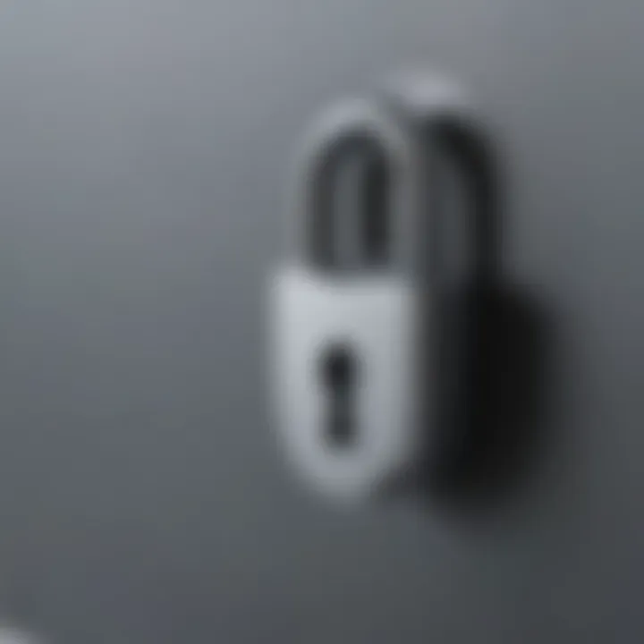 Lock icon representing password protection