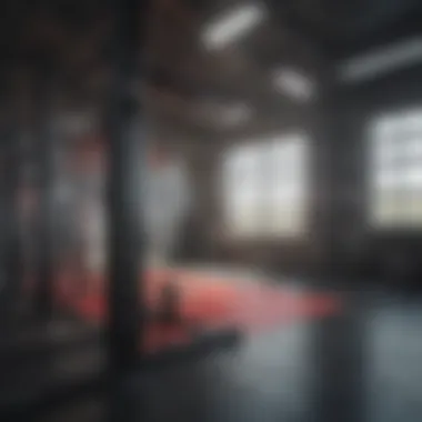 Virtual MMA training gym