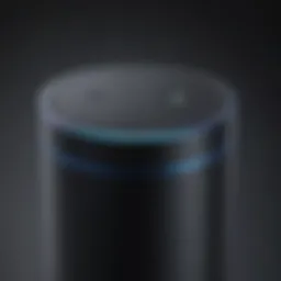 Innovative Voice Assistant