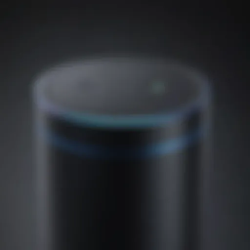 Innovative Voice Assistant