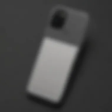Pixel 6 Case with Card Holder Summary Pixel 6 Case with Card Holder Summary
