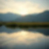 A serene landscape representing tranquility after photo recovery