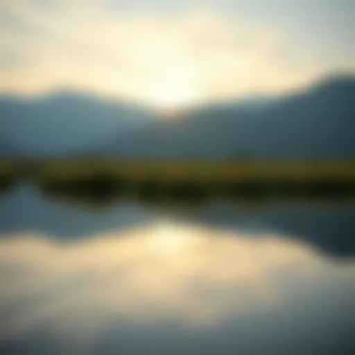 A serene landscape representing tranquility after photo recovery