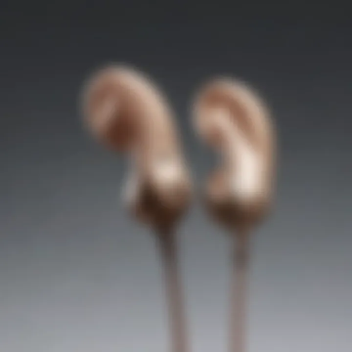 Advanced technology in Samsung earbuds