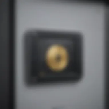 Secure Message Access Interface Secure Message Access Interface
