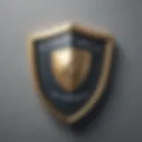 Secure Shield Icon