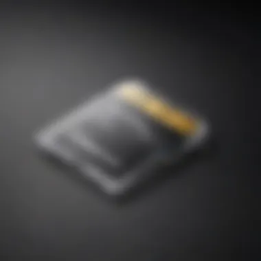 Sleek Mini SD Card Design Elegance Sleek Mini SD Card Design Elegance