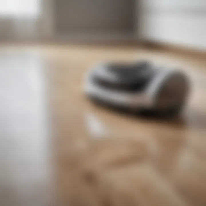 Sleek and Stylish Cleaning Robot