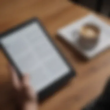 Sophisticated e-reader displaying purchased e-books