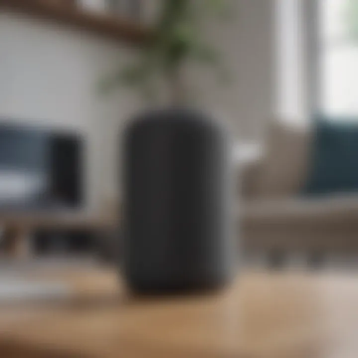 Implications of adopting smart speakers in daily life