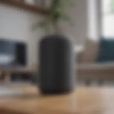 Implications of Smart Speaker Adoption Implications of adopting smart speakers in daily life