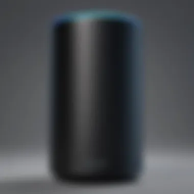 User Experience with Alexa Without an Amazon Account User experience with Alexa without an Amazon account