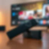 Overview of the Amazon Fire Stick with remote control