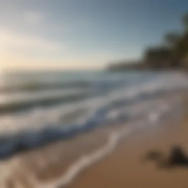 Quiet beach scene highlighting the interplay of light and water.