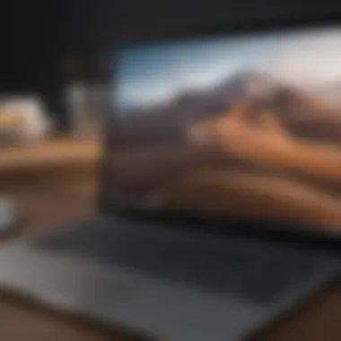 Diversifying Choices Versatile OS Selection for Chromebook